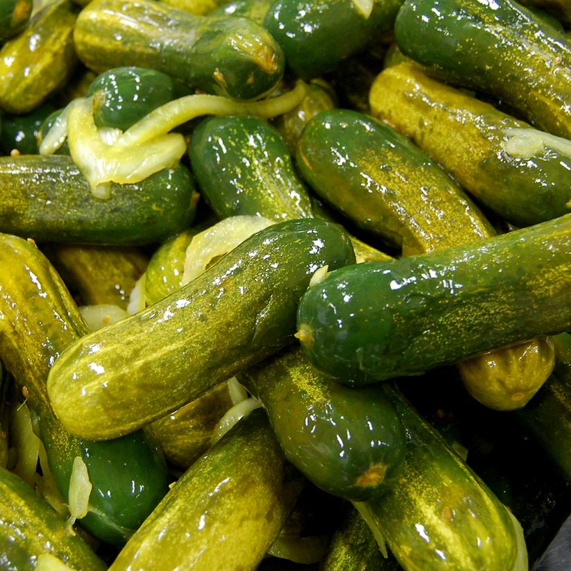 Deli Half Sour Pickle Britts' Fermented Foods
